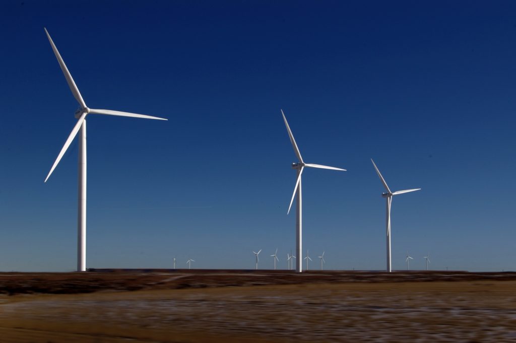 White turbines in a field